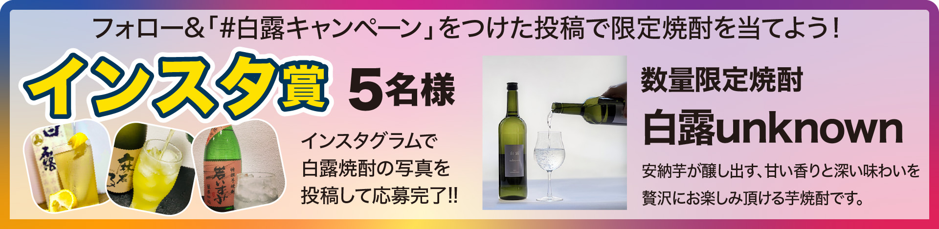 インスタ賞 数量限定・白露unknown 5名様　白露　焼酎　SHIRATSUYU